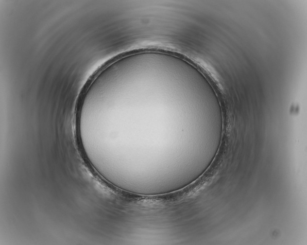 X0000091580888200709101016