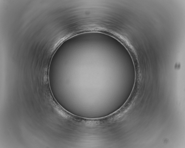 X0000091580889200709101016