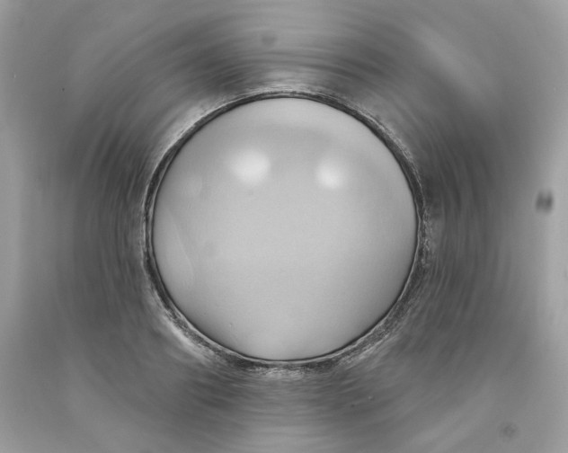 X0000091580890200709101016