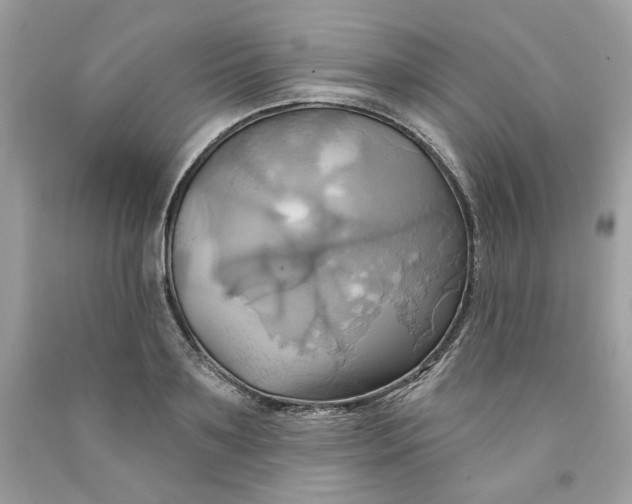 X0000091580891200709101016