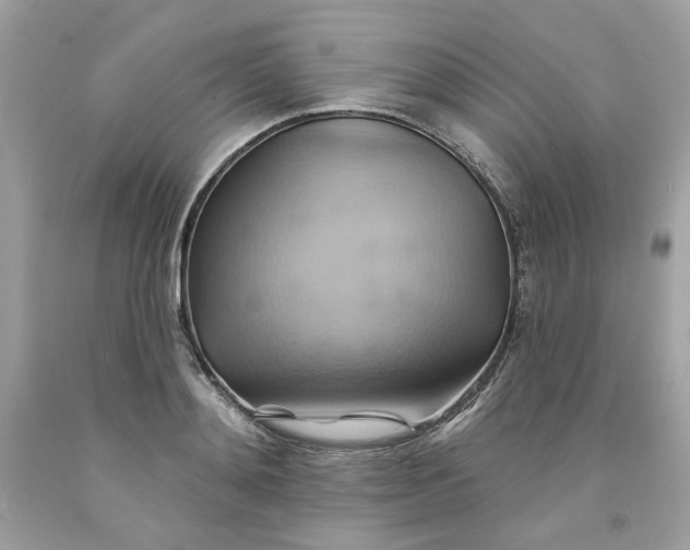 X0000091580892200709101016