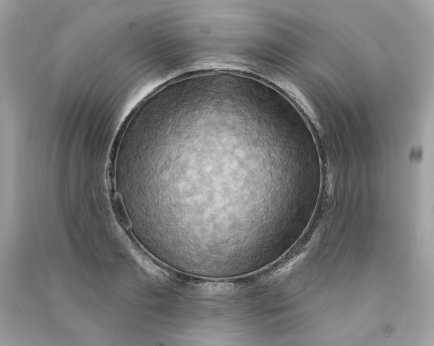 X0000091580893200709101016