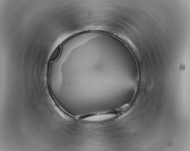 X0000091580894200709101016