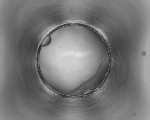 X0000091580895200709101016