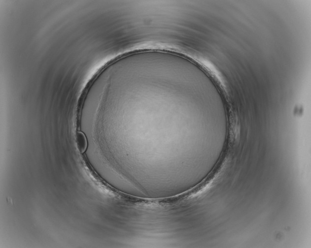 X0000091580896200709101016