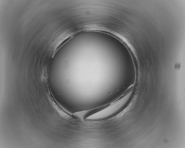 X0000091580897200709101016