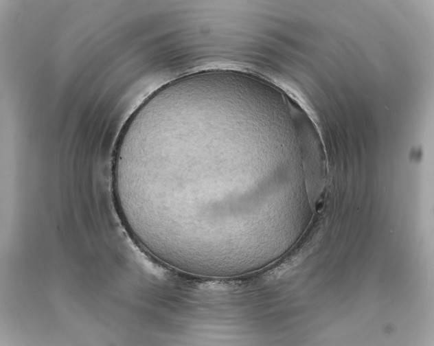 X0000091580898200709101016