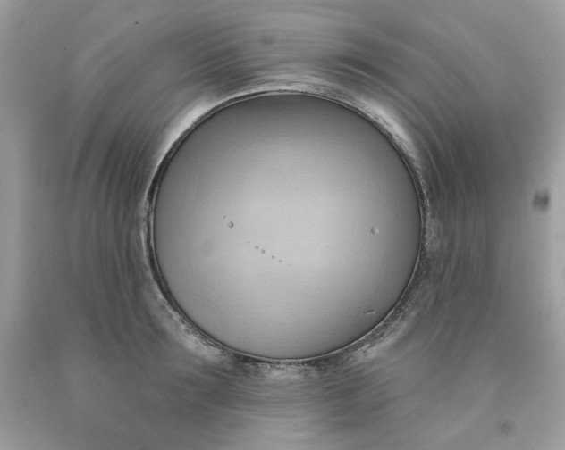 X0000091580899200709101016