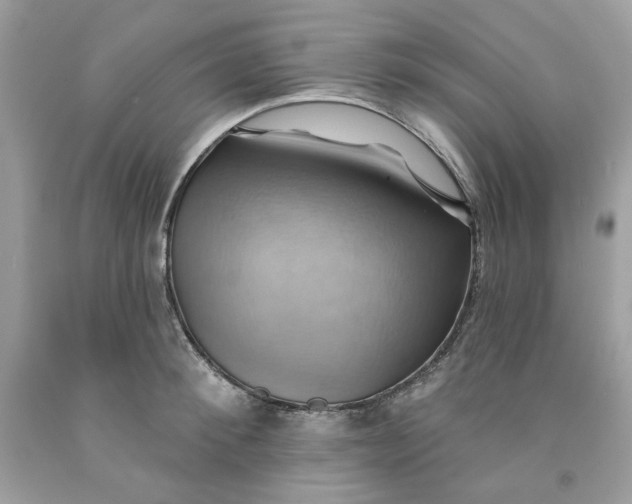 X0000091580900200709101016