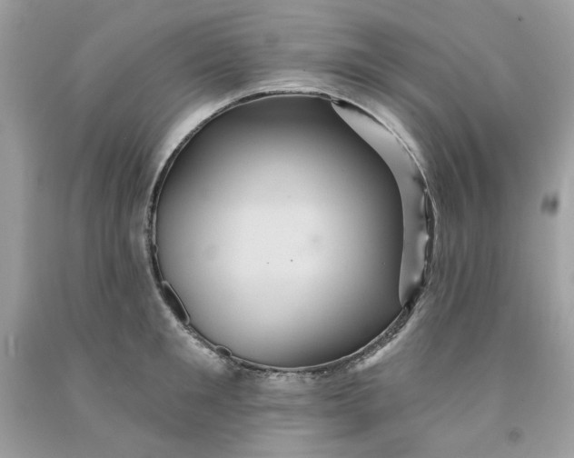 X0000091580901200709101016