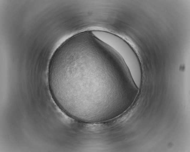 X0000091580902200709101016