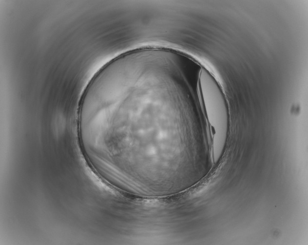 X0000091580903200709101016