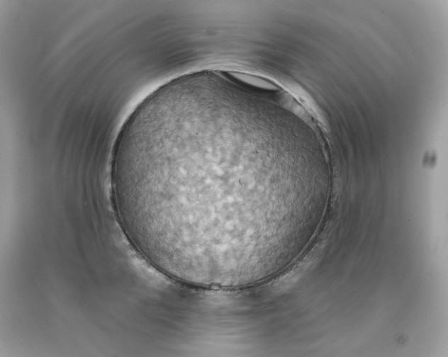 X0000091580904200709101016