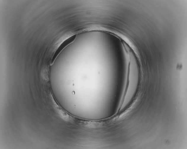 X0000091580905200709101016