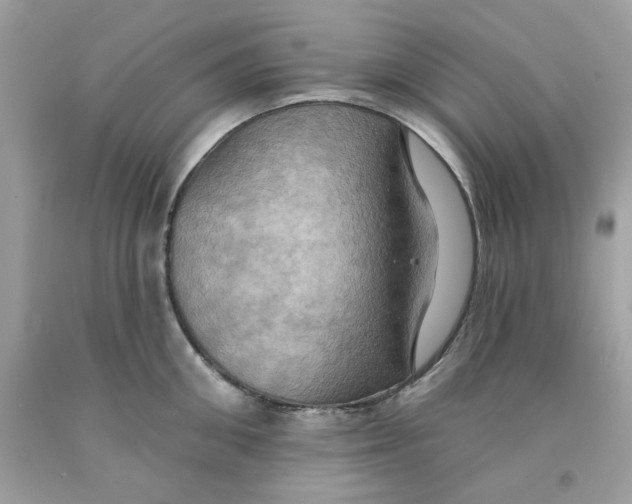 X0000091580906200709101016