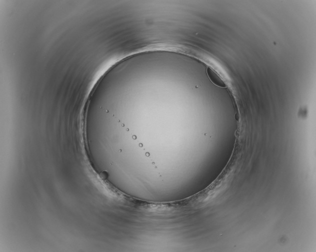 X0000091580907200709101016