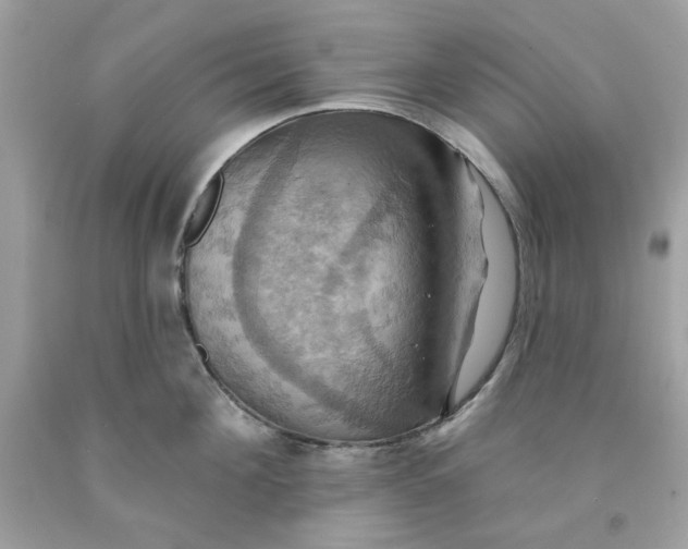 X0000091580908200709101016