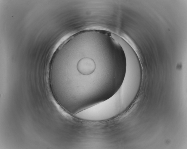 X0000091580909200709101016