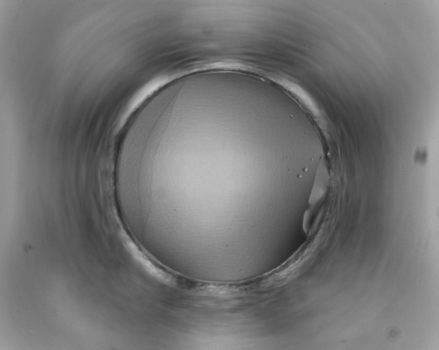 X0000091580910200709101016