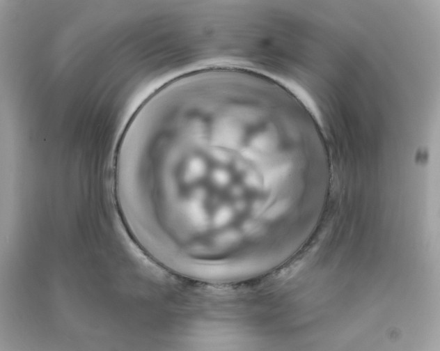 X0000091580911200709101016