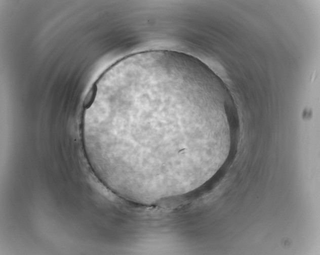 X0000091580912200709101016