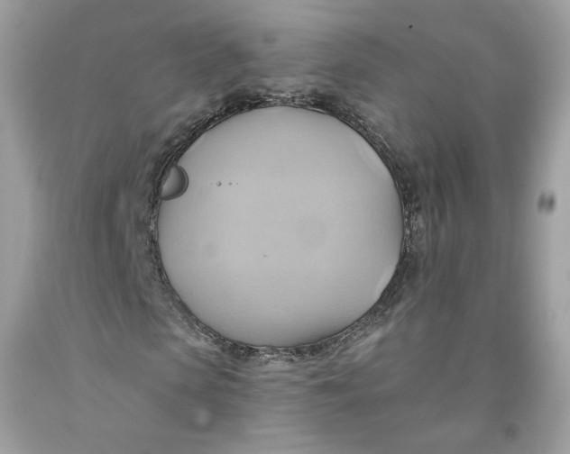 X0000091580913200709101015