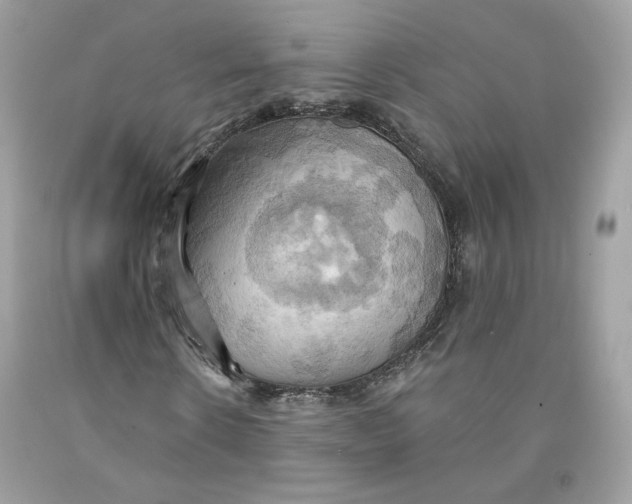 X0000091580914200709101015