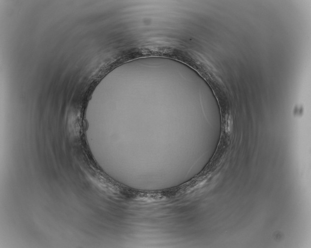 X0000091580915200709101015