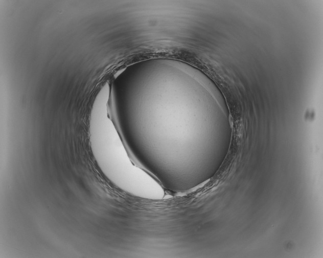 X0000091580916200709101015