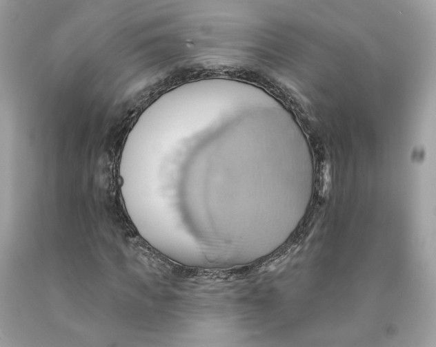 X0000091580917200709101015