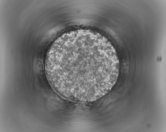 X0000091580918200709101015