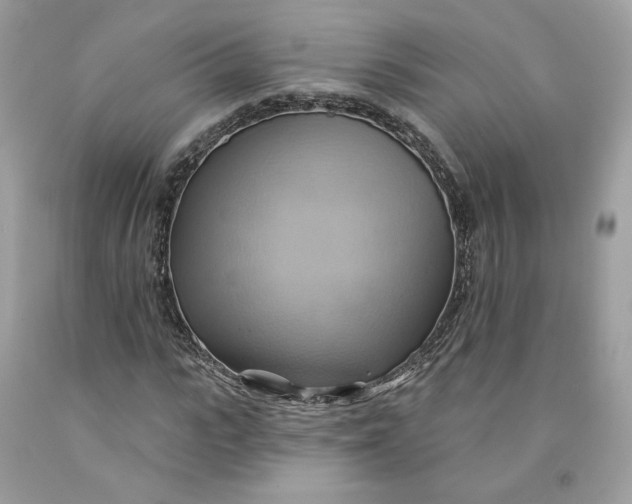 X0000091580919200709101015