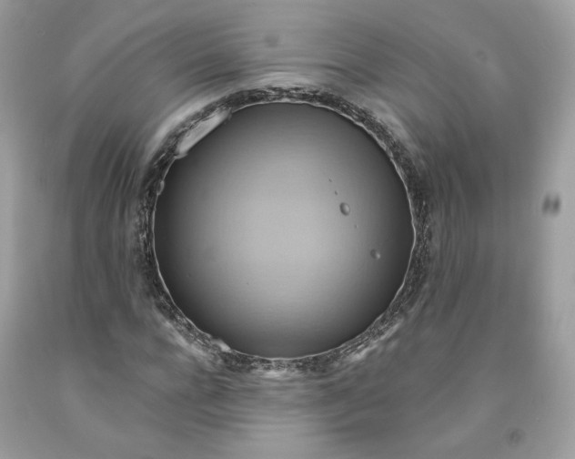 X0000091580920200709101015