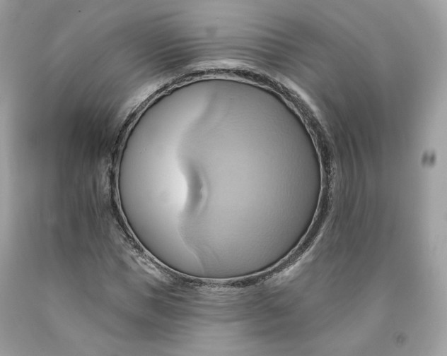 X0000091580921200709101015