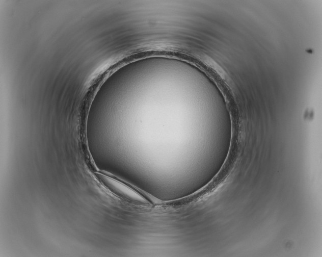 X0000091580922200709101015