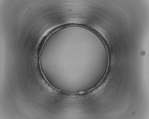 X0000091580923200709101015