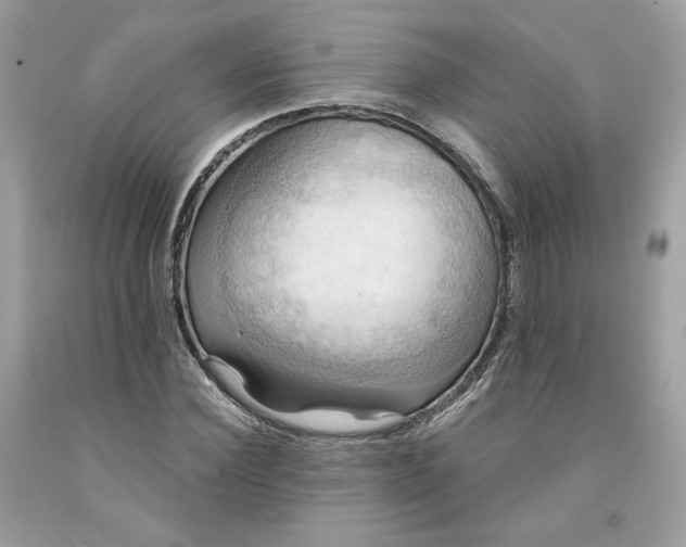 X0000091580924200709101015