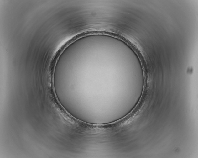 X0000091580925200709101015