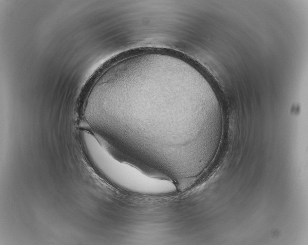 X0000091580926200709101015