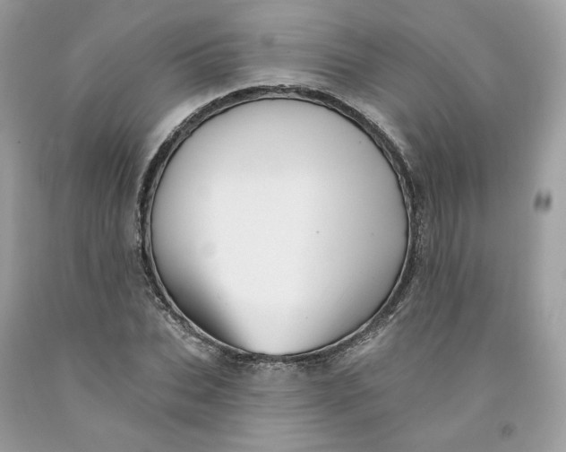 X0000091580927200709101015