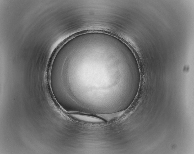 X0000091580928200709101015