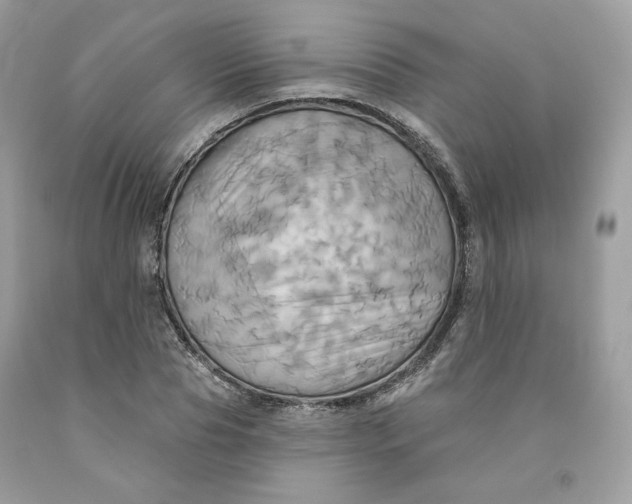 X0000091580929200709101015