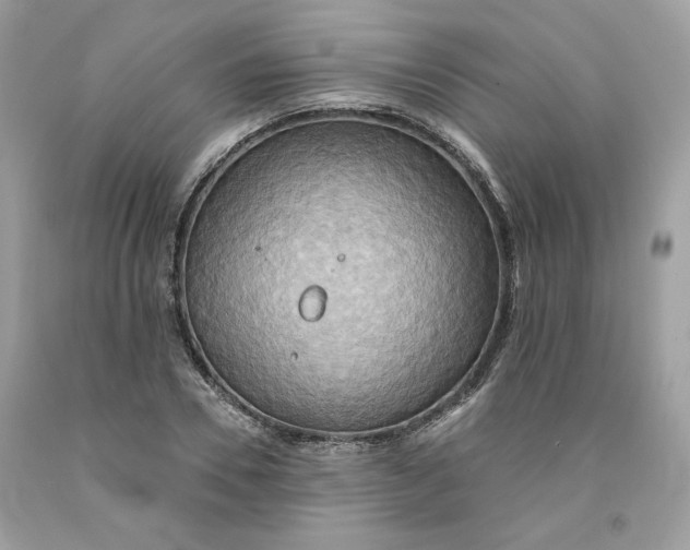 X0000091580930200709101015