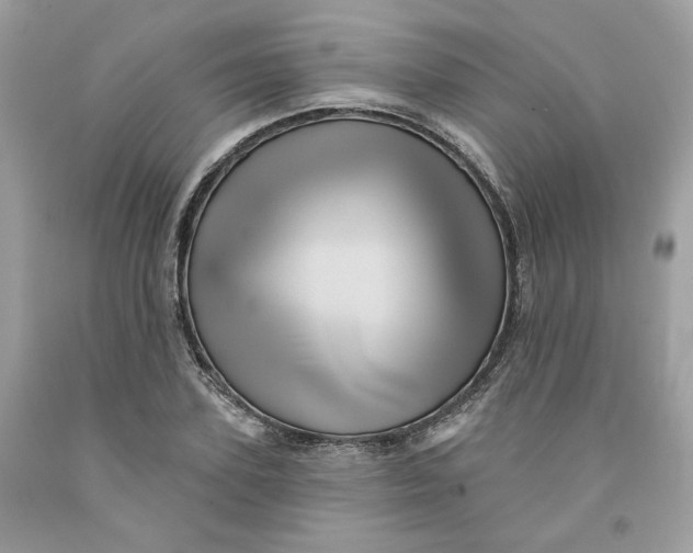 X0000091580931200709101015