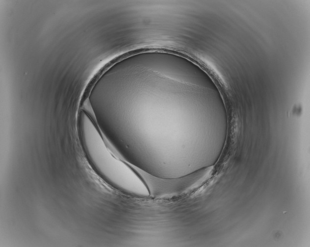 X0000091580932200709101015