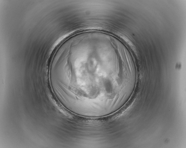 X0000091580933200709101015