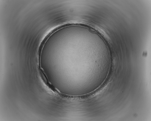 X0000091580934200709101015