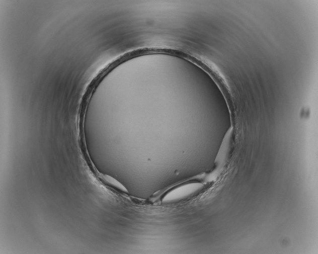 X0000091580935200709101015