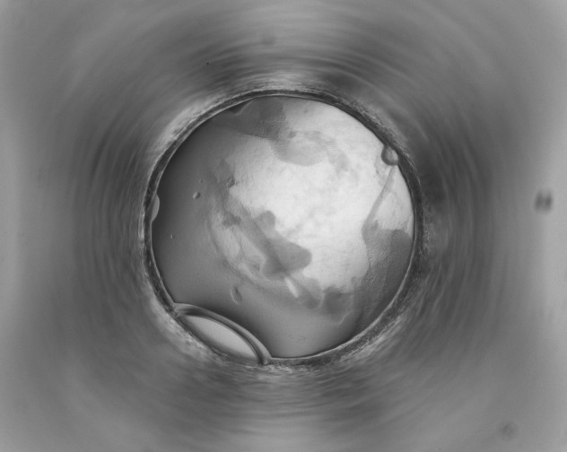 X0000091580938200709101015