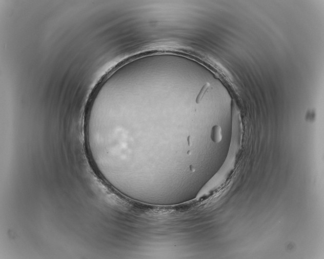 X0000091580939200709101015